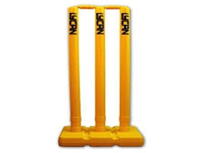  Heavy Plastic PVC Wicket